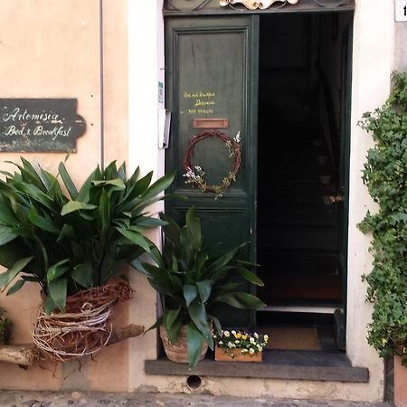 Artemisia B&B Albenga Ngoại thất bức ảnh