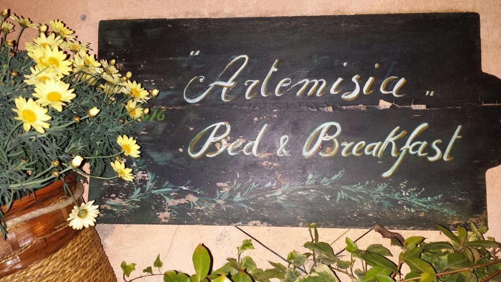 Artemisia B&B Albenga Ngoại thất bức ảnh